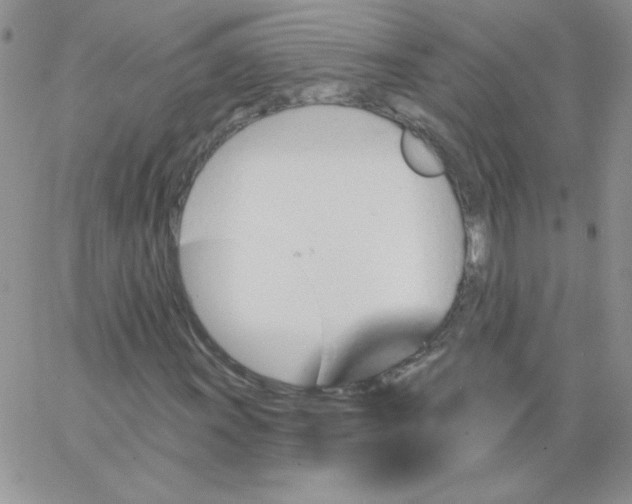 X0000062911011200602031851