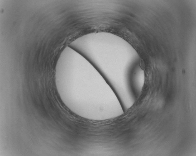 X0000062911012200602031851