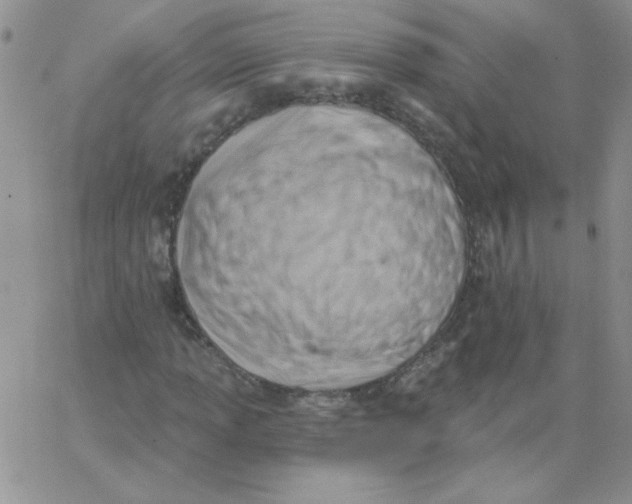 X0000062911013200602031851