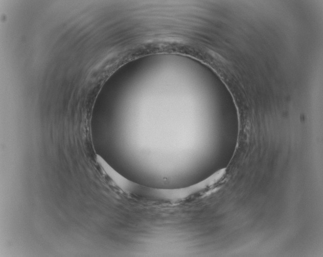 X0000062911014200602031851