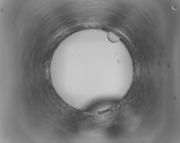 X0000062911015200602031851