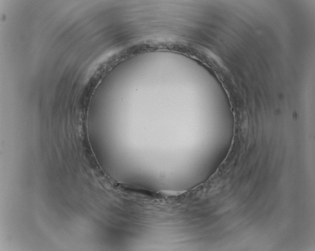 X0000062911016200602031851