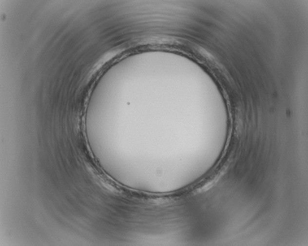 X0000062911017200602031851