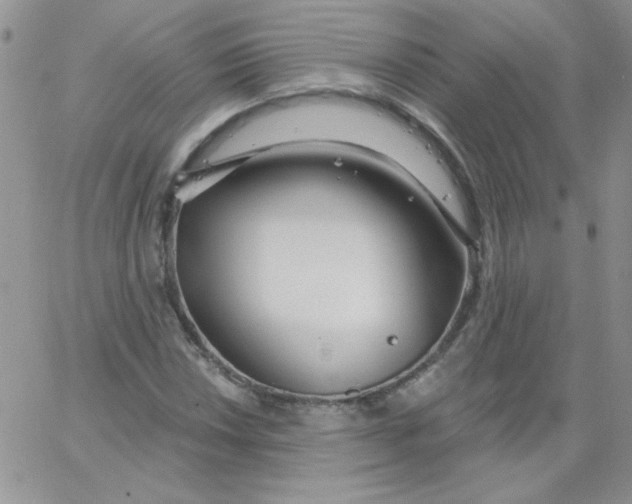 X0000062911018200602031851