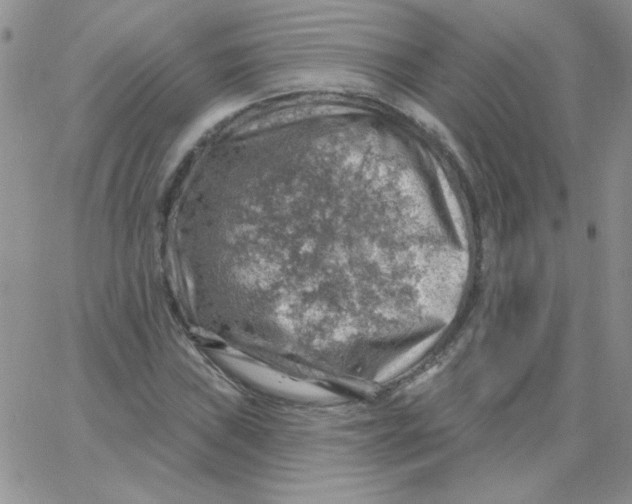 X0000062911019200602031852