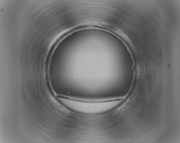 X0000062911020200602031852