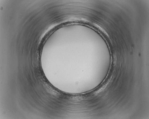 X0000062911021200602031852