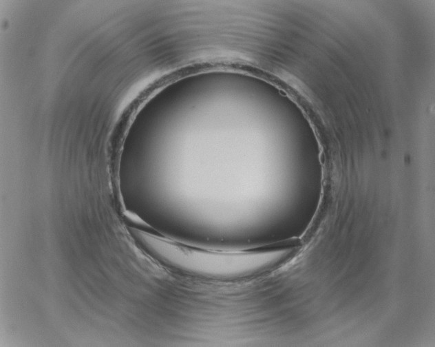 X0000062911022200602031852