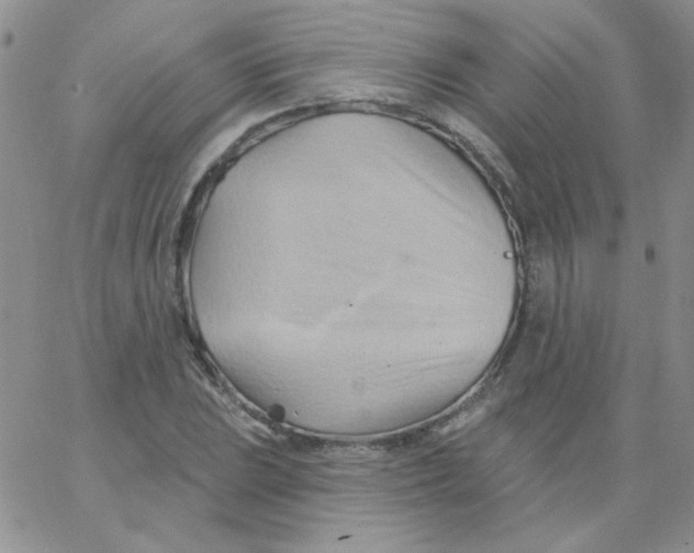 X0000062911023200602031852