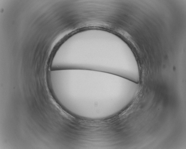 X0000062911024200602031852