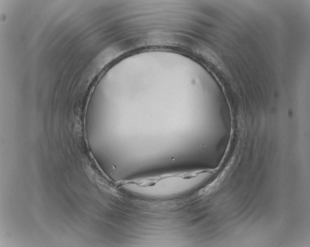 X0000062911025200602031852