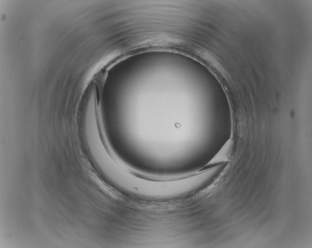 X0000062911026200602031852