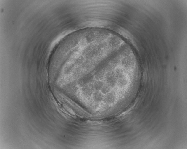 X0000062911027200602031852