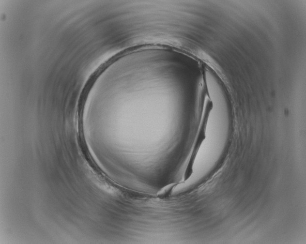 X0000062911028200602031852