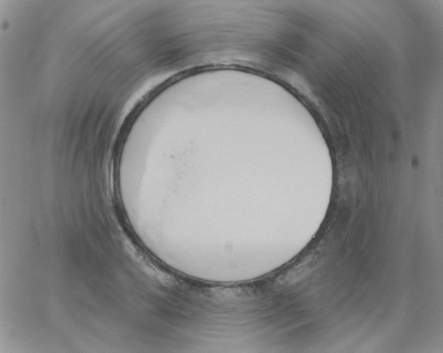 X0000062911032200602031852