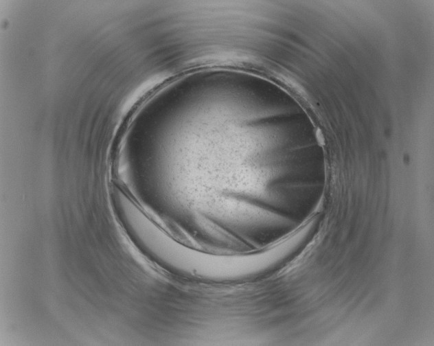 X0000062911034200602031852