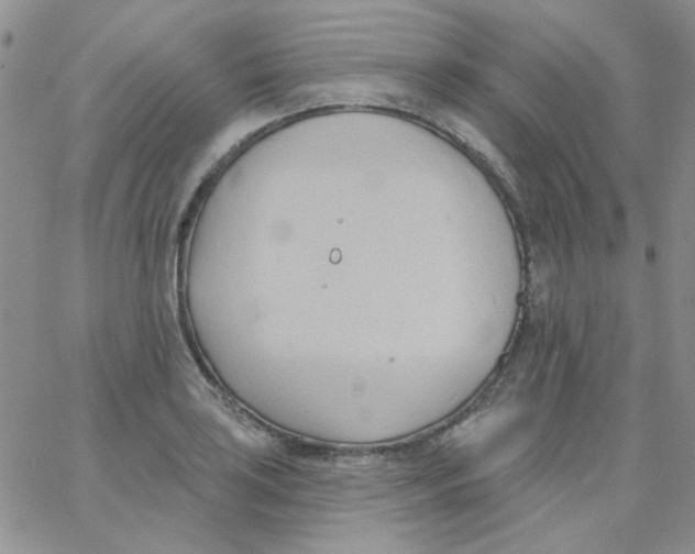 X0000062911035200602031852