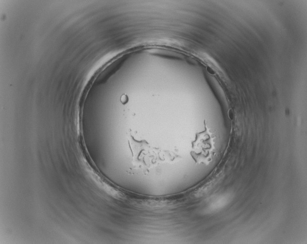 X0000062911036200602031852