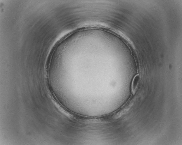 X0000062911037200602031852