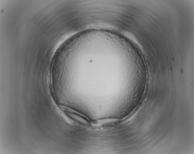 X0000062911040200602031852