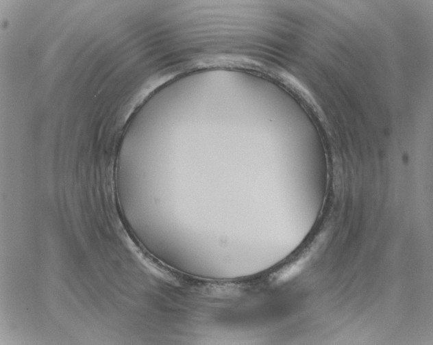 X0000062911041200602031852