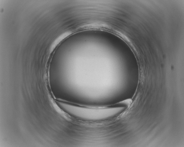 X0000062911042200602031852