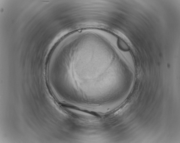 X0000062911043200602031852