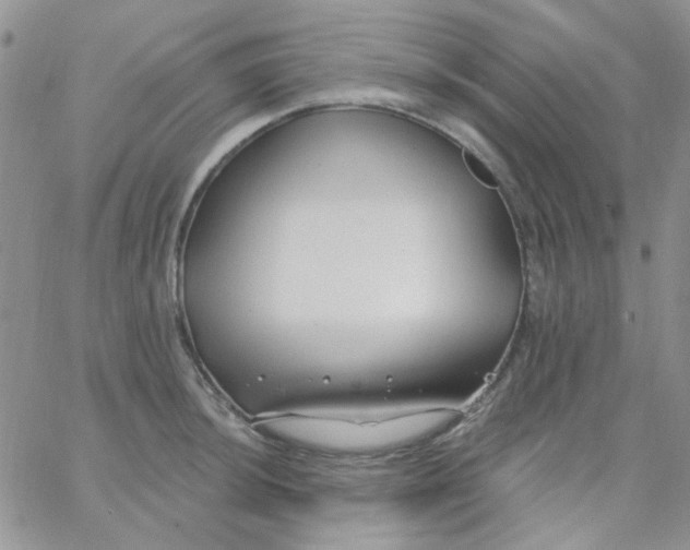 X0000062911044200602031852