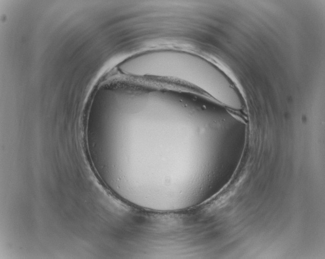 X0000062911045200602031852