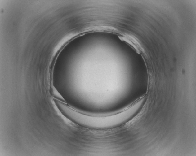 X0000062911046200602031852