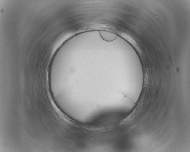 X0000062911047200602031852