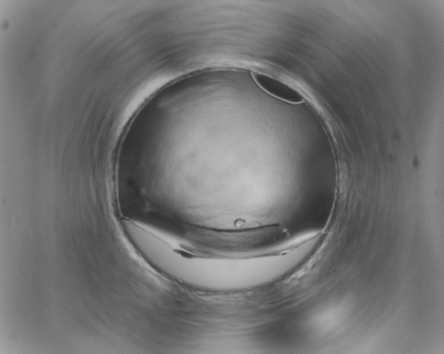 X0000062911048200602031852