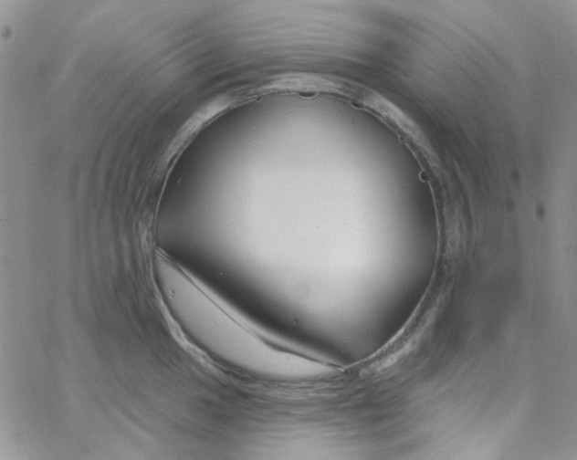 X0000062911049200602031852