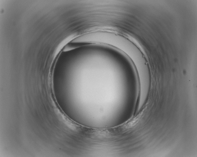 X0000062911050200602031852