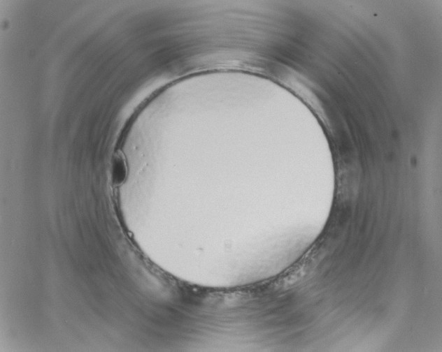 X0000062911051200602031852