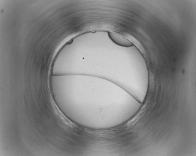 X0000062911052200602031852