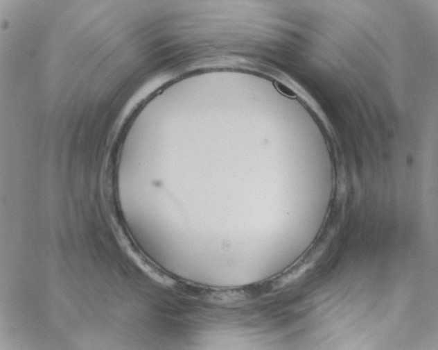 X0000062911053200602031852