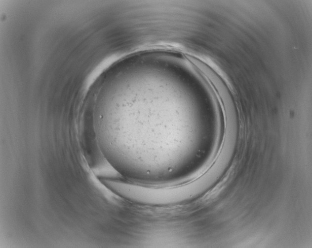 X0000062911054200602031852