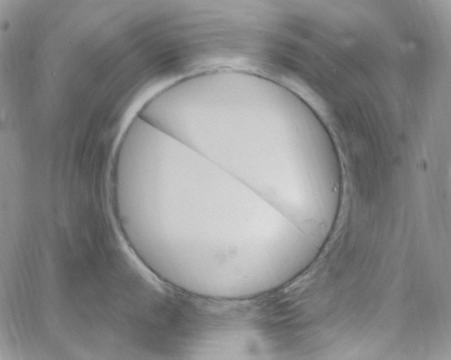 X0000062911056200602031852