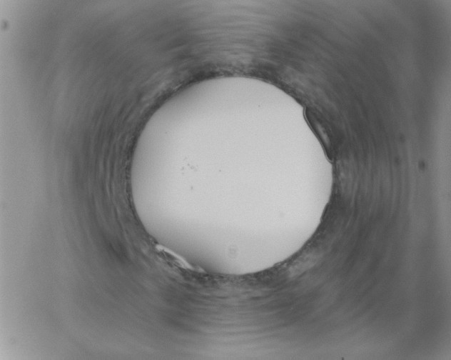 X0000062911057200602031851