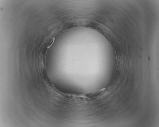 X0000062911058200602031851