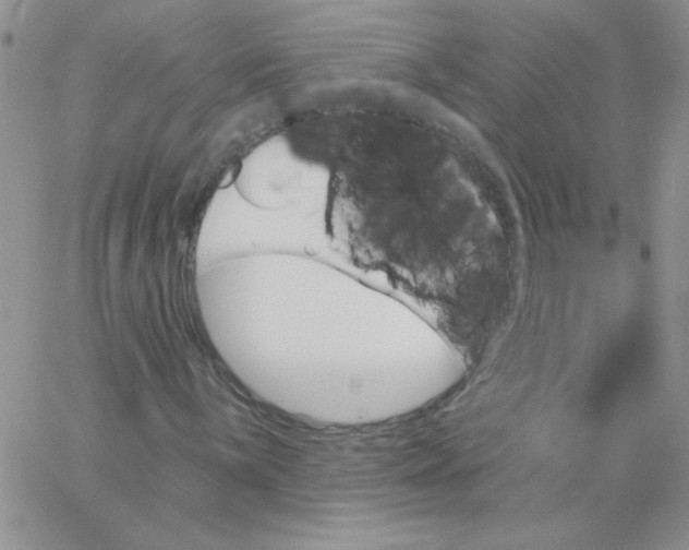 X0000062911059200602031851