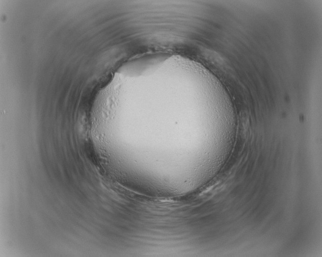 X0000062911060200602031851