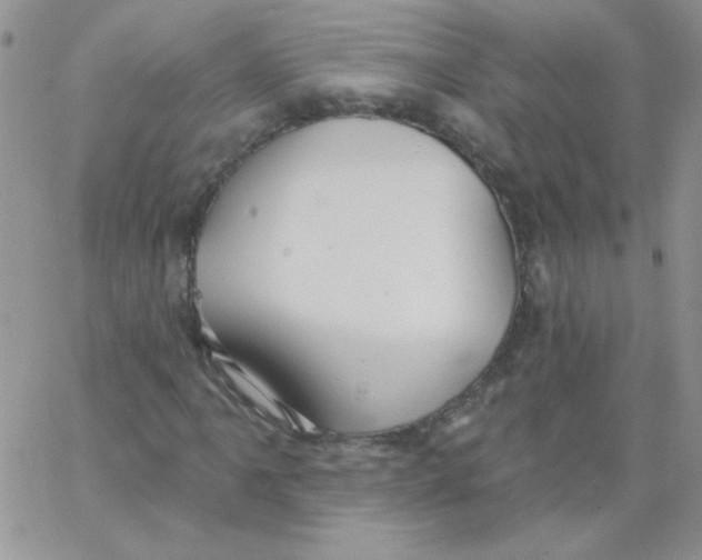 X0000062911061200602031851