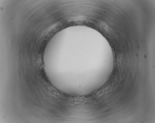 X0000062911062200602031851