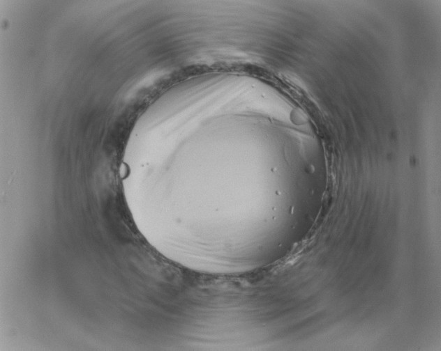 X0000062911063200602031851