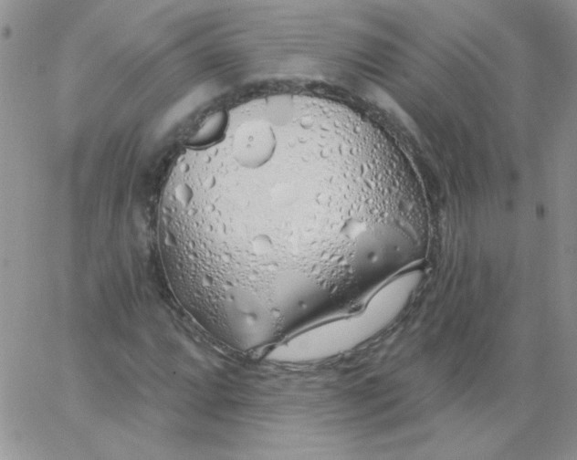 X0000062911064200602031851