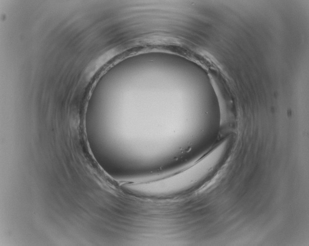 X0000062911065200602031851