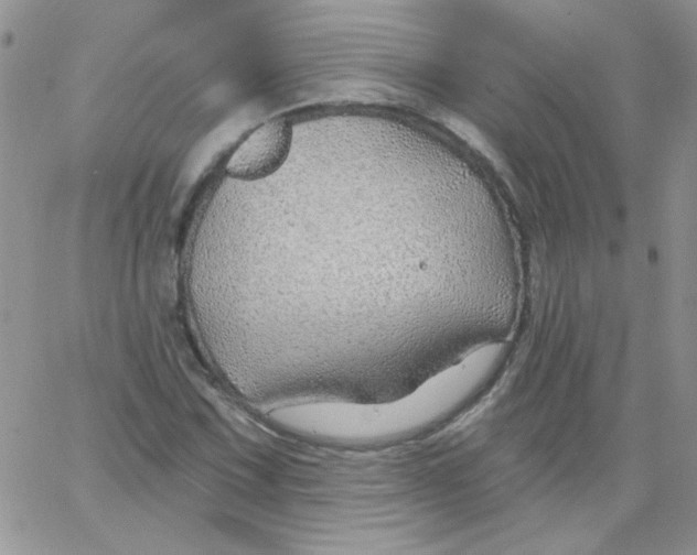 X0000062911067200602031851