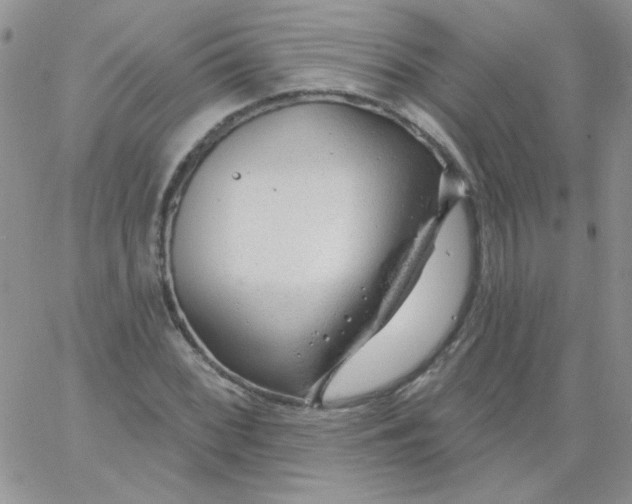 X0000062911068200602031851